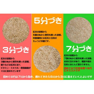 ふるさと納税 花巻市 【令和7年産】分づきが選べる　岩手県産ひとめぼれ3kg　5分づき |  | 02