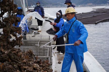呉市養殖かき事業者支援寄附金　ku000-003-5-r