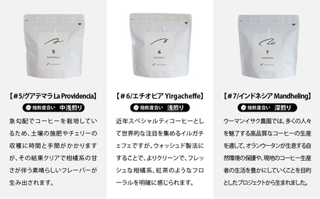 コーヒー 豆 焙煎士 おすすめ おまかせセット 3ヶ月 定期便 各月200g | コーヒー