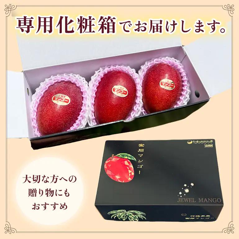 ぼうけんの国 宝石マンゴー 【優品】アーウィンマンゴー サファイアclass 約2kg ku01-006