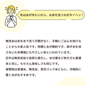 【無洗米】丹波産キヌヒカリ 10kg 無洗