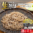 【ふるさと納税】そば 生そば 選べる 2パック 4パック 100g 3袋 JA上伊那 伊那華の生そば めんつゆ付 蕎麦 半生そば 信州上伊那産そば粉 信濃一号 信濃夏そば 保存料不使用 香り高い風味 のど越しの良さ こだわりのつゆ 風味豊か 信州そば 和食 日本食 麺 麺類 食品