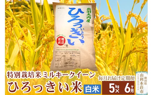 
										
										《定期便6ヶ月》【白米】 秋田県産 ミルキークイーン 5kg 令和6年産 ひろっきい米
									