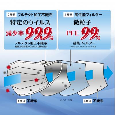 ふるさと納税 江南市 【日本製・個包装】JIS T9001 医療用クラスIII　フルテクトマスク(30枚×1箱) |  | 02