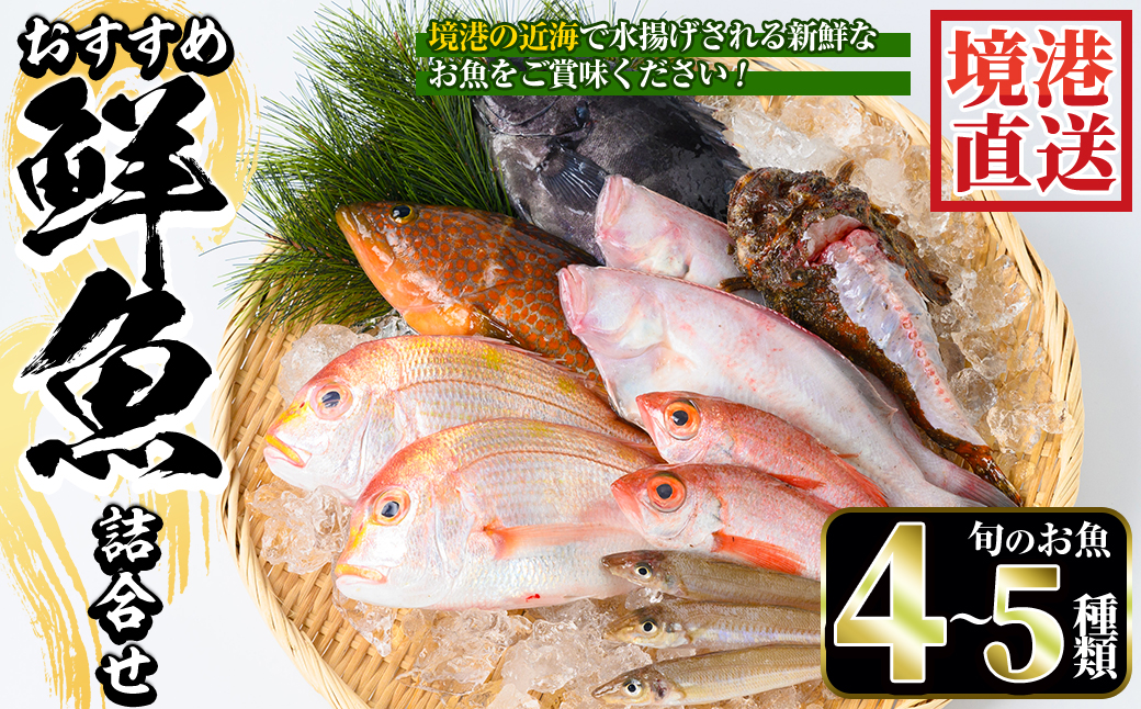 ＜平日着＞＜7～8月・年末年始配送不可＞おすすめ鮮魚詰め合わせ(4～5種類)【sm-AA003-A】【いたくら】