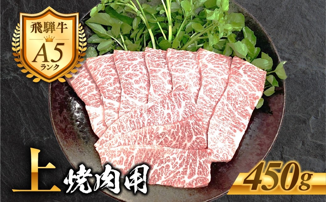 
            ［A5等級］飛騨牛 上カルビ 焼き肉用 450g 2～3人前 霜降り 精肉 肉 牛肉 黒毛和牛 和牛 BBQ 飛騨牛 カルビ お肉 肉 焼肉 焼き肉 冷凍 明宝ハム 明宝物産物加工 20000円 2万円 [G0025]
          