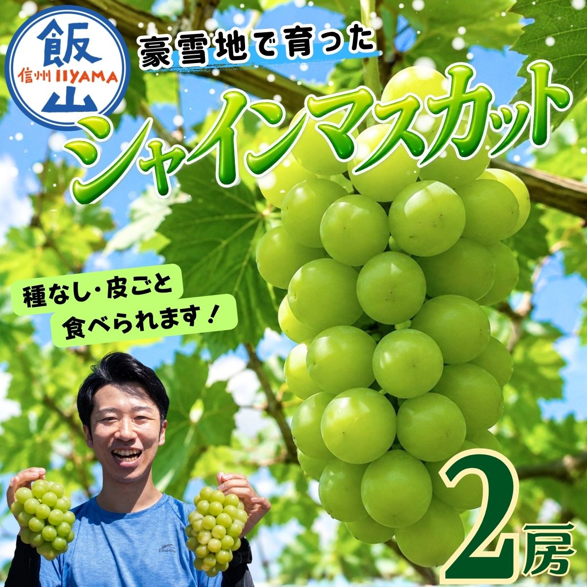 【ふるさと納税】シャインマスカット 2房（約1kg以上）《出荷開始：2026年10月上旬〜》｜長野県 飯山市 信州産 フルーツ ぶどう 葡萄 ブドウ しゃいん マスカット 種なし 皮ごと 期間限定 甘い 食べやすい おすすめ オススメ 贈答 ギフト 農家応援 Bv-002
