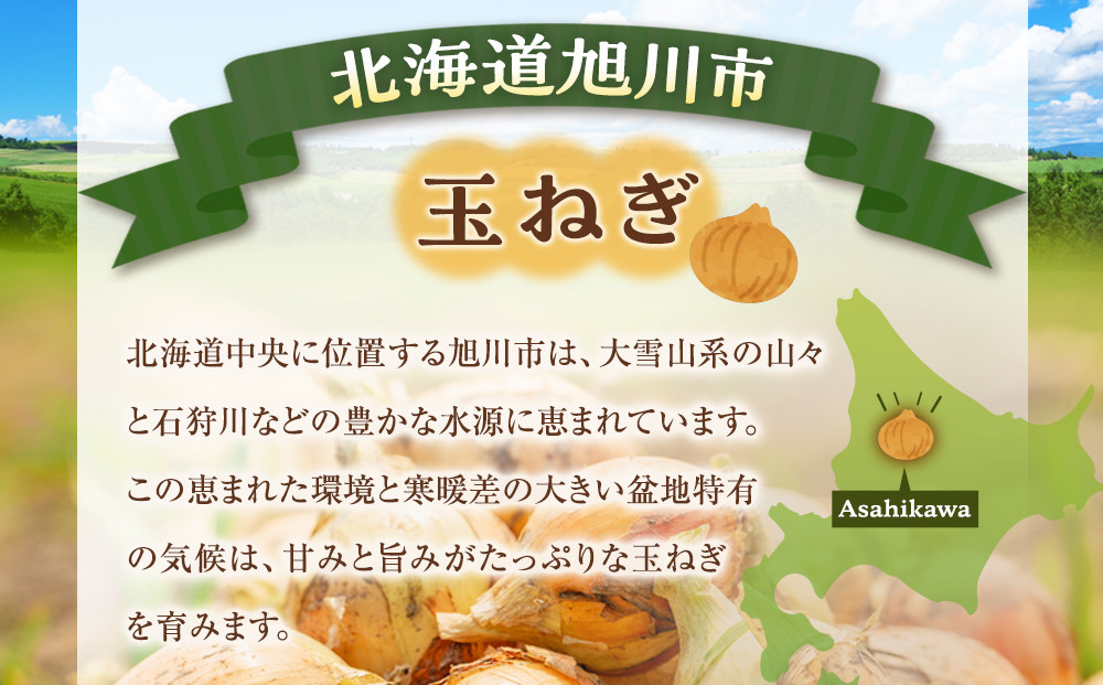 【先行予約】農家直送 低農薬 旭川産 玉ねぎＬサイズ20kg(2026年9月発送開始予定)_05935