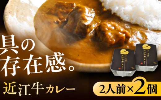 -あふひ 贅の極み- 近江牛カレー レトルト 2人前×2個セット レトルト カレー 牛肉 和牛 ブランド牛 ご当地 名物 高級 ギフト 贈答用 人気 おすすめ 美味しい 簡単 調理 長期保存 カレー カレーライス レトルトカレー ビーフカレー 保存食 恵那市 / テンポイント [AUEU017]