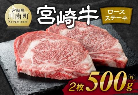 宮崎牛ロースステーキ2枚500g　牛肉 宮崎牛 黒毛和牛 焼肉[E11106]