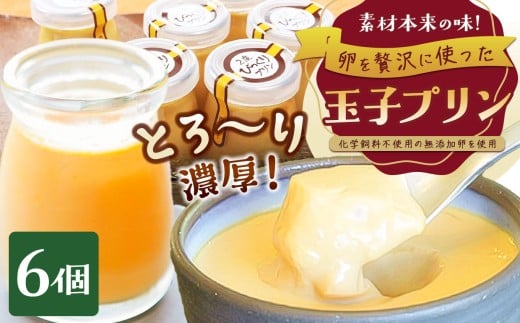 とろ～り濃厚！ 玉子プリン6個セット | プリン たまご 卵 ぷりん スイーツ 菓子 玉子 とろ～り濃厚 甘 甘い あまい 甘味 セット 兵庫県 上郡町
