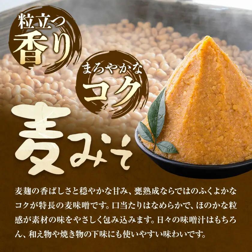 麦味噌 味噌 みそ 計3kg(1kg×3袋) さつま食品《30日以内に出荷予定(土日祝除く)》味噌汁 麦みそ 調味料 和食 豚汁 鹿児島県 さつま町