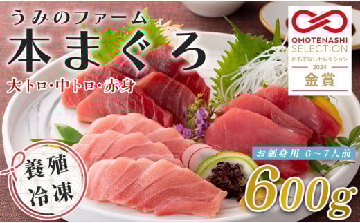 国産 養殖本マグロ 3種盛 大トロ 中トロ 赤身 600g｜刺身用 冷凍 まぐろ 鮪 柵 家庭用 夫婦 晩酌 ギフト 御歳暮 御中元 内祝い 海鮮丼 寿司 手巻き 急速冷凍 解凍簡単 贈答 お祝い 年末年始 産地直送 配達日指定可 うみのファーム