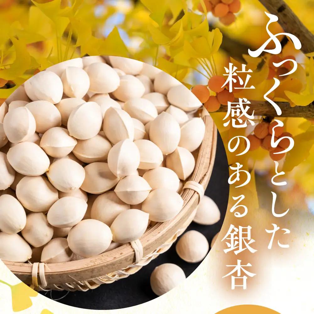 先行予約受付中 ふっくら銀杏 700g｜銀杏