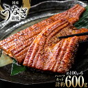 【ふるさと納税】うなぎ 国産 静岡 うなぎ蒲焼 ハーフカット 100g ×6 計600g [静岡鰻販売 静岡県 吉田町 22424172] 鰻 ウナギ うなぎ蒲焼き うなぎ蒲焼 真空パック 冷凍 蒲焼 肉厚 ふっくら 静岡県産