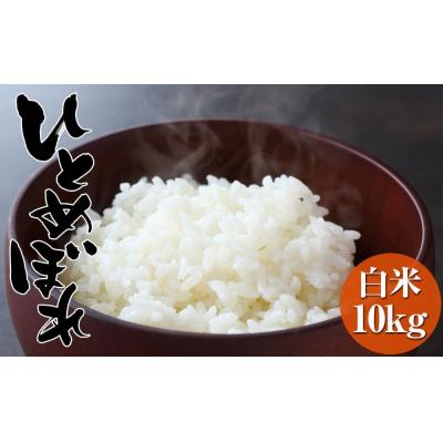 ふるさと納税 陸前高田市 令和7年度産 海の見える農園で作った白米 10kg ひとめぼれ 米 白米 農家 応援 ごはん ライス