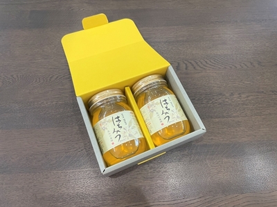 国産 はちみつ アカシア 500ｇ×2本入り セット ／ 長谷川養蜂 希少 ハチミツ 蜂蜜 三重県 南伊勢町 伊勢志摩