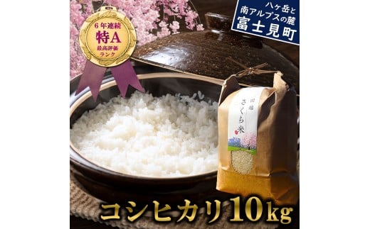 【通常便】 信州 長野県産 特A こしひかり 10kg 田端さくら米 コシヒカリ 新米 米 10kg 令和7年産