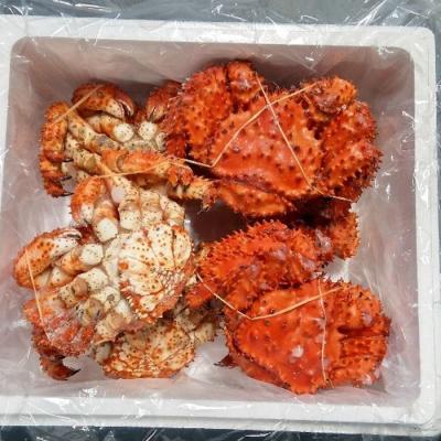 ふるさと納税 根室市 <12/21まで年内配送>★花咲ガニ400g×6尾 C-57049 |  | 01