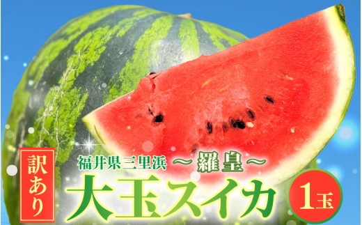 先行予約 大玉スイカ 【訳アリ】 1玉 6kg以上 ～羅皇～ 【2026年7月中旬以降順次発送予定】 訳あり わけあり すいか 大玉すいか スイカ 西瓜 デザート 果物 くだもの 夏フルーツ ジューシー お取り寄せ グルメ 産地直送 [A-16514]