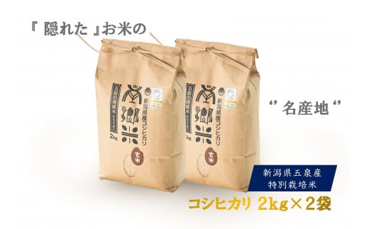 【先行予約】令和6年産 特別栽培米 新潟県五泉産コシヒカリ 「南郷米」 玄米 4kg 新潟県 五泉市 ファームみなみの郷