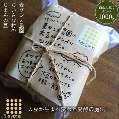 ふるさと納税 小川村 麦ダンス農園の大豆がテンペになりました　1000g*281