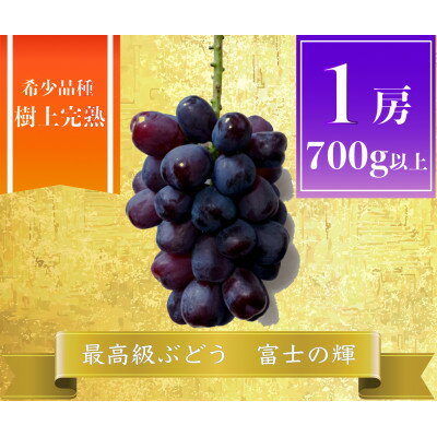 【ふるさと納税】【2026年先行予約】富士の輝 計700g 1房　山梨県産【配送不可地域：離島】【1694813】
