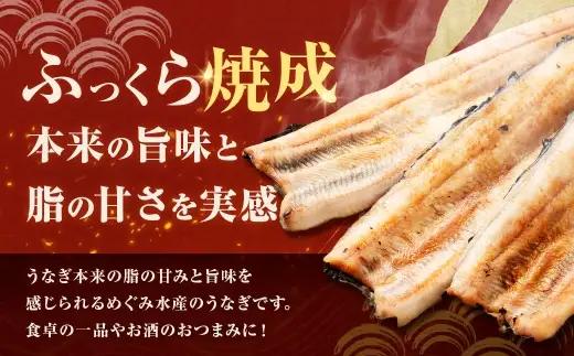 めぐみうなぎ 白焼き 6尾 セット うなぎ 鰻 ウナギ 魚類 うな重 うな丼 晩ごはん 惣菜 おかず 贅沢 冷凍 国産 大阪府産 養殖 無投薬