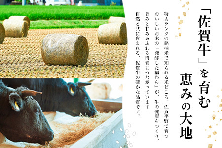 佐賀牛 赤身ブロック350g×1パック計350g ロールステーキ80g×4枚計320g【佐賀牛 赤身ブロック ロールステーキ 牧場直送 ローストビーフ 黒毛和牛】(H122109)