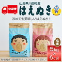 【ふるさと納税】【毎月定期便】山形県産米「はえぬき」玄米 5kg(5kg×1袋)全6回【4003477】