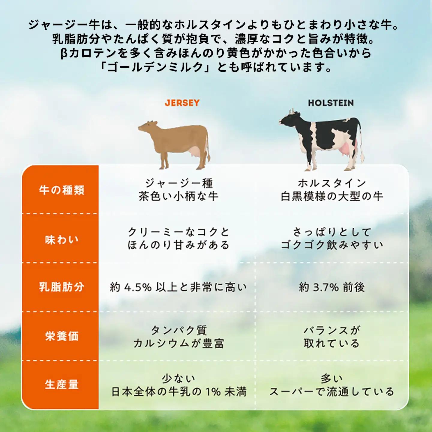 【阿蘇小国ジャージーアイス研究所】阿蘇小国ジャージーアイス 王様ミルク 100ml 16個 国産 熊本県産 小国ジャージー牛乳 ジャージーミルク ゴールデンミルク アイスクリーム 牧場しぼり お取り寄