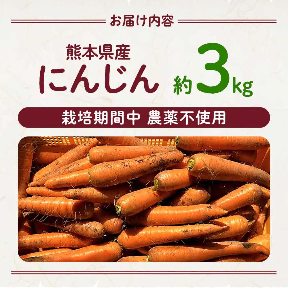 【先行予約】にんじん 約3kg 天日塩＆発酵土壌で作ったこだわりの人参 【株式会社 夢アグリ】[ZCL018]