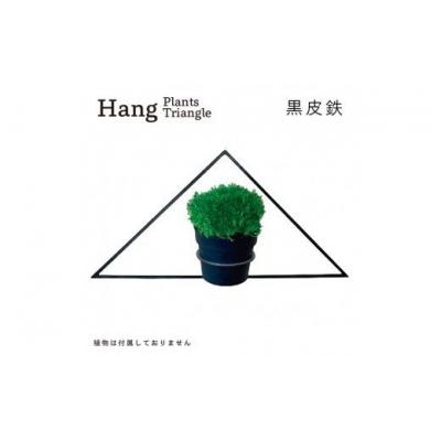 ふるさと納税 幸田町 GRAVIRoN Hang Plants シリーズ Triangle　 黒皮鉄(プランツハンガー)