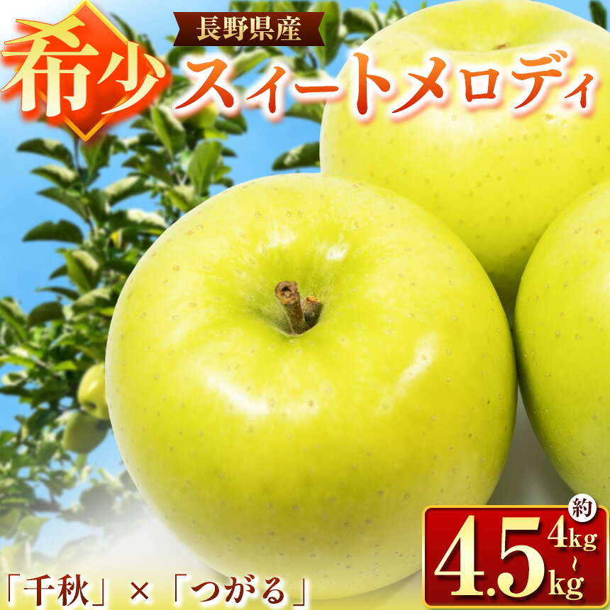 【ふるさと納税】スイートメロディ 約4～4.5kg 【2026年先行予約】｜ 東印平林農園 リンゴ りんご 林檎 果物 フルーツ 果実 果汁 希少 品種 スイートメロディ 長野県 松川村