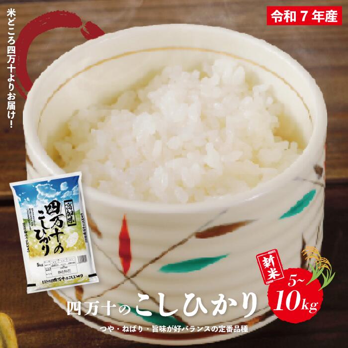 【ふるさと納税】 米 5kg 10kg 【 新米 令和7年産 】 四万十 の こしひかり 国産 1等米 予約 コシヒカリ 精米 お米 白米 ごはん ご飯 おいしい ふっくら もちもち 高知県 高知 四万十市 しまんと 土佐 送料無料 【2025年9月より順次配送】