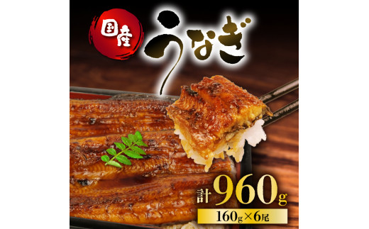 うなぎ 国産 蒲焼 160g × 6尾 計960g 鰻蒲焼 ウナギ 土用 丑の日 JAS認定 活鰻 自家製蒲焼のたれ 山椒 ギフト 贈答 冷凍 養殖 真空パック レンジ 調理 湯煎 まとめ買い 静岡県 藤枝