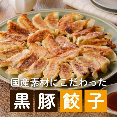 ふるさと納税 鹿児島市 国産素材にこだわった黒豚餃子120個　K111-015