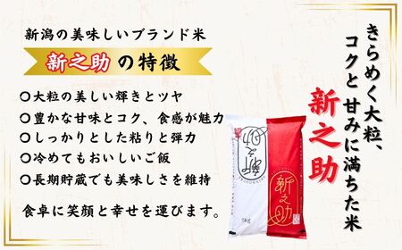 令和6年産新米予約【定期便】新之助 5kg×3ヶ月 計15kg 早川の清流が育んだ美味しいお米 新潟県糸魚川産 2024年磯貝農場【毎月お届け しんのすけ 米 お米 こめ ご飯 ライス ふるさと納税米