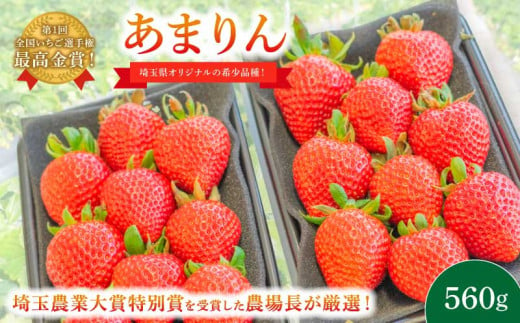 【予約受付】 いちご あまりん 560g (280g×2P) 3月発送 苺 イチゴ ストロベリー 産地直送 ご当地 果物 くだもの フルーツ デザート 食品 冷蔵 げんき農場 埼玉県 羽生市