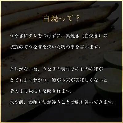 鹿児島県大隅産 千歳鰻の 白焼鰻　2尾  | うなぎ うなぎ