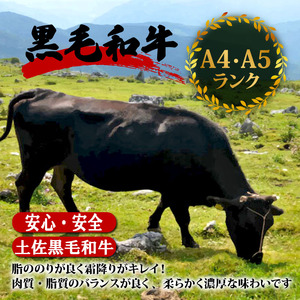 【2回定期便】土佐黒毛和牛 食べ比べ 940g | Bコース 厳選 国産 和牛 ステーキ 焼き肉 お肉 にく 霜降り 牛肉 サーロイン リブロース 人気 贈答 ギフト プレゼント 小分け 数量限定 2