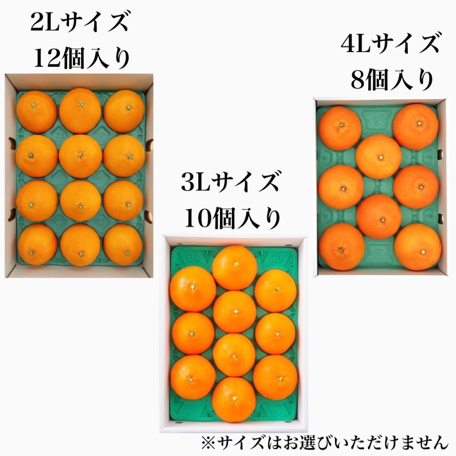 愛媛県産「紅まどんな」赤秀　2L～4Lサイズ8～12個