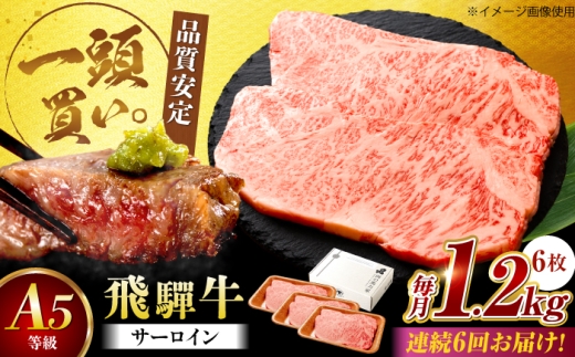 【6回定期便】飛騨牛 サーロイン（ステーキ用）1.2kg（200g×6枚）飛騨牛 国産 肩ロース ロース ステーキ 黒毛和牛 和牛 牛肉 BBQ steak 岐阜県 / 御嵩町 / 馬力家 [AVBO103]