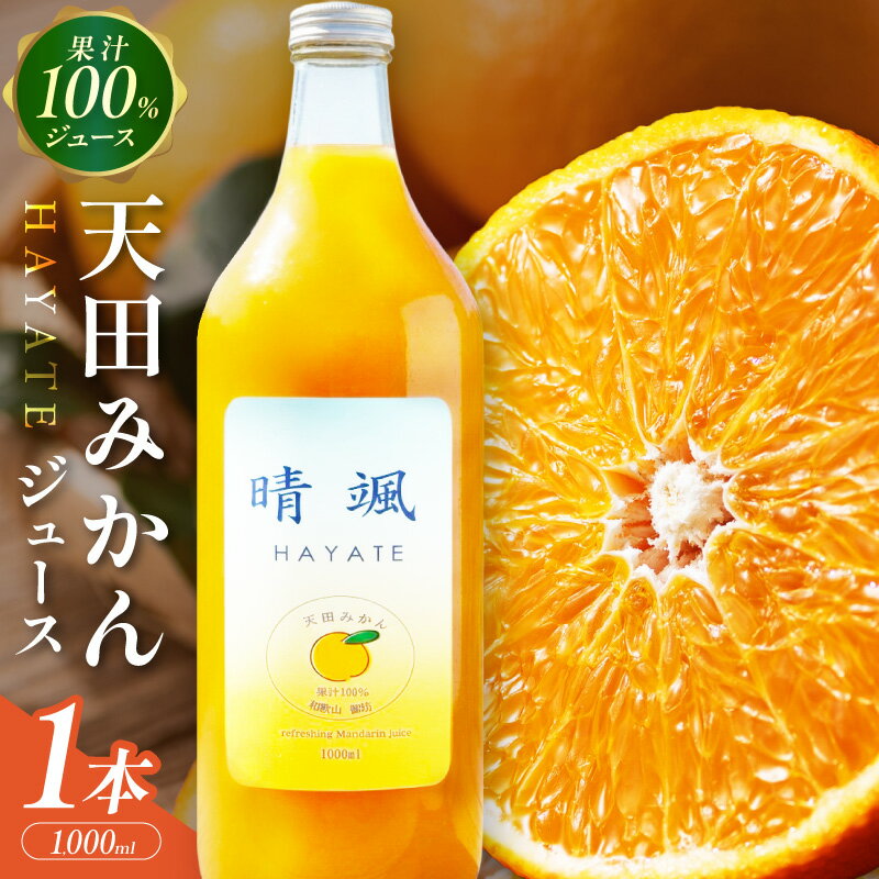 【ふるさと納税】天田みかん100％ジュース 晴颯（ハヤテ） ふるさと納税 みかん 天田みかん ジュース ソフトドリンク オレンジジュース