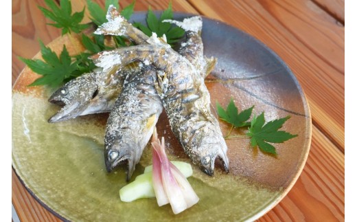 天然鮎 約1kg (7～15尾) こだわりの冷凍 天然 あゆ 川魚 塩焼き 天ぷら 甘露煮 さかな料理 岩手県 北上市 和賀川淡水漁業協同組合 C0621
