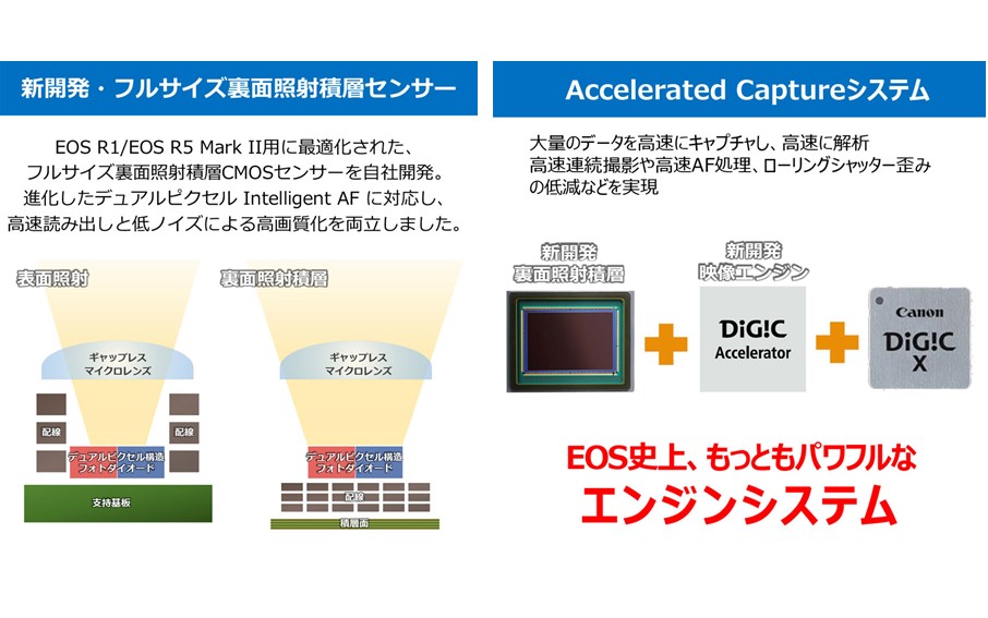 【Canon】 キヤノン ミラーレス カメラ EOS R1 ボディーのみ キャノン 一眼 家電_0046C
