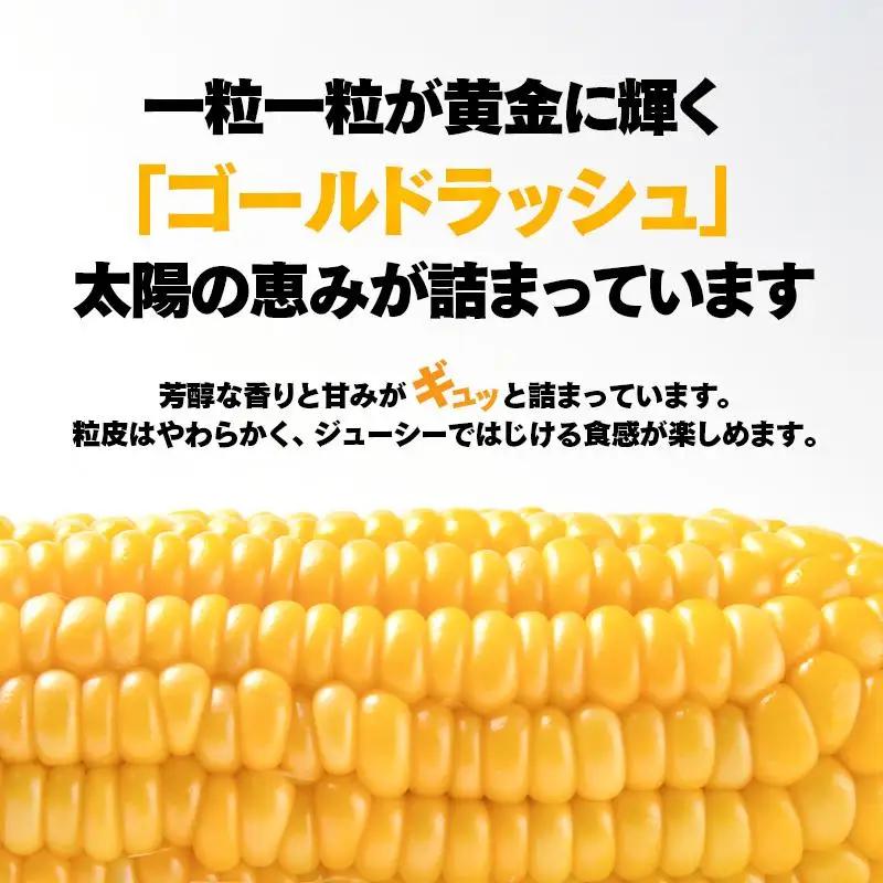 【先行予約】2027年発送　朝どれスイートコーン６kgとスイートコーンドレッシングセット＜35-3a＞