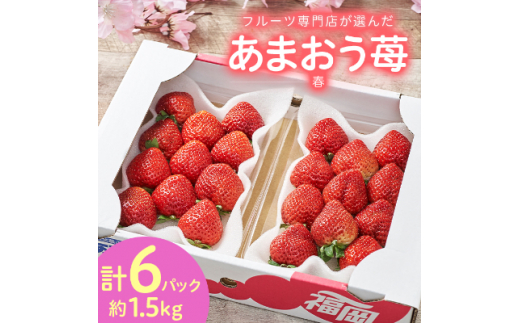 ＜2027年発送先行受付＞フルーツ専門店が選んだ「あまおう苺」春250g×6パック(大野城市)_あまおう苺 いちご イチゴ 果物 フルーツ 福岡県 大野城市 美味しい 人気 送料無料【1083968】