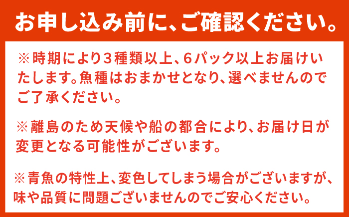 【全3回定期便】対馬 イカ 姿造り と 刺身 の セット 【真心水産】《対馬市》新鮮 海鮮 いか 冷凍 刺身 ケンサキイカ 島魚 海鮮丼 手巻き寿司 [WAK013]