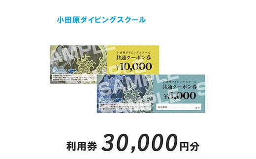 小田原ダイビングスクール 共通クーポン券 30,000円分 142069_BS008